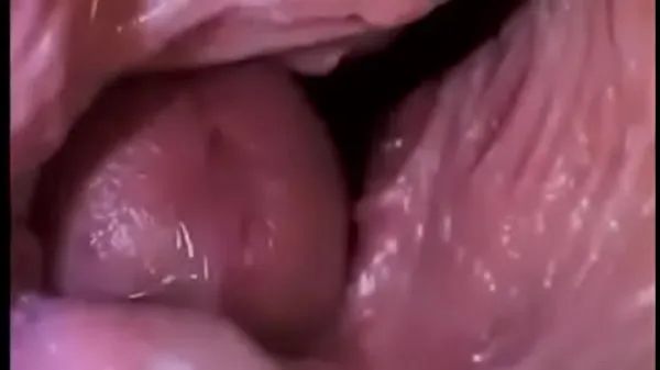 Big Dick Inside a Vagina total Videos