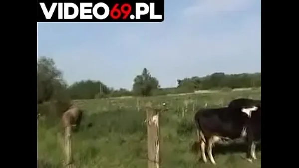 Veľký celkový počet videí: Polish porn - Rural atmosphere