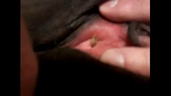 Big Maggot entering black woman's urethra total Videos