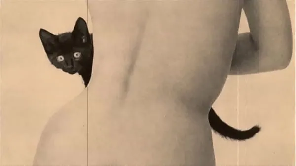 Büyük Vintage Taboo, Pussy & Pooch toplam Video