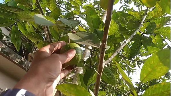 إجمالي Pakinoon got Horny while Visiting Garden for Guava, Masturbating a Lot Moan Jerking and Unload مقاطع فيديو كبيرة